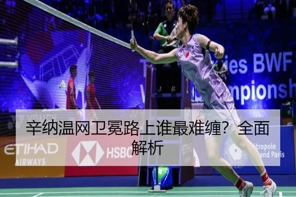辛纳温网卫冕路上谁最难缠？全面解析